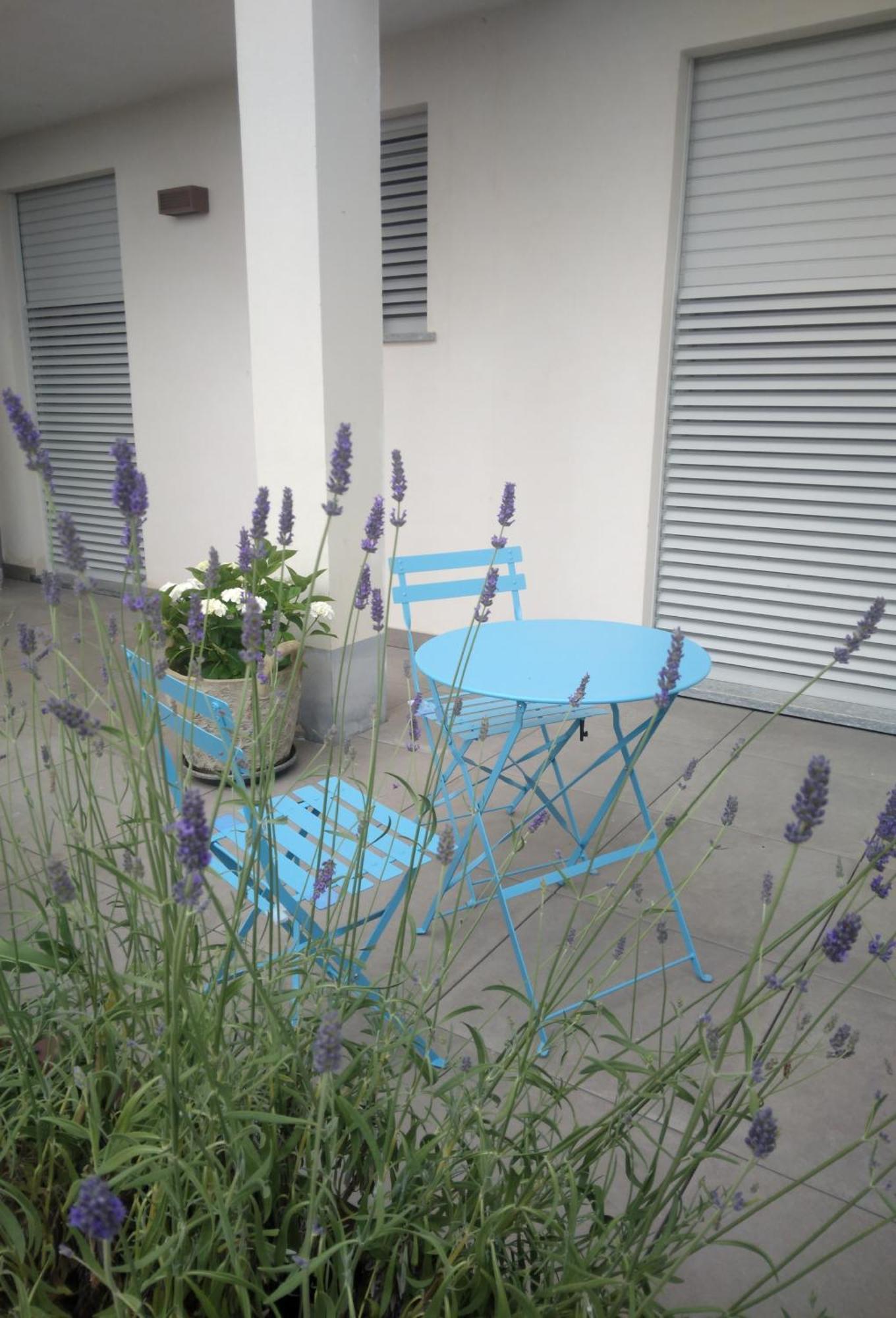 Cicci House Apartman Alba Kültér fotó
